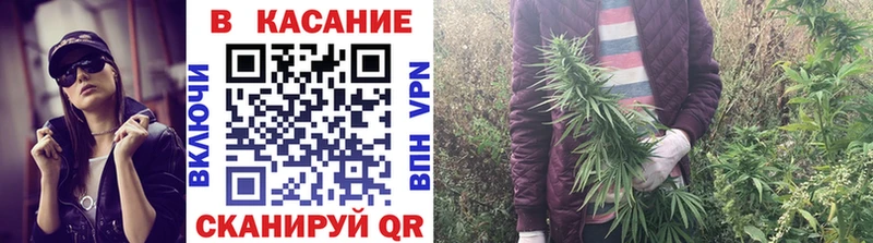 Наркотические вещества Калининск Альфа ПВП  кракен сайт  Меф мяу мяу  ГАШ  Конопля 