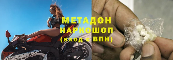 стаф Алексин