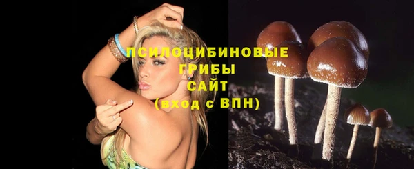 стаф Алексин