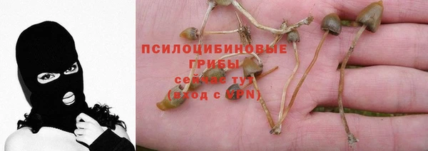 первитин Арсеньев