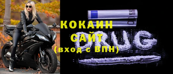 стаф Алексин