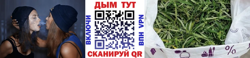 Бошки марихуана сатива  Калининск 